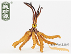 xĲ3l/ ڲ x؛r(ji)234Ԫ/