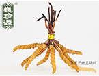 xĲ2.5l/ ڲ x؛r(ji)252Ԫ/