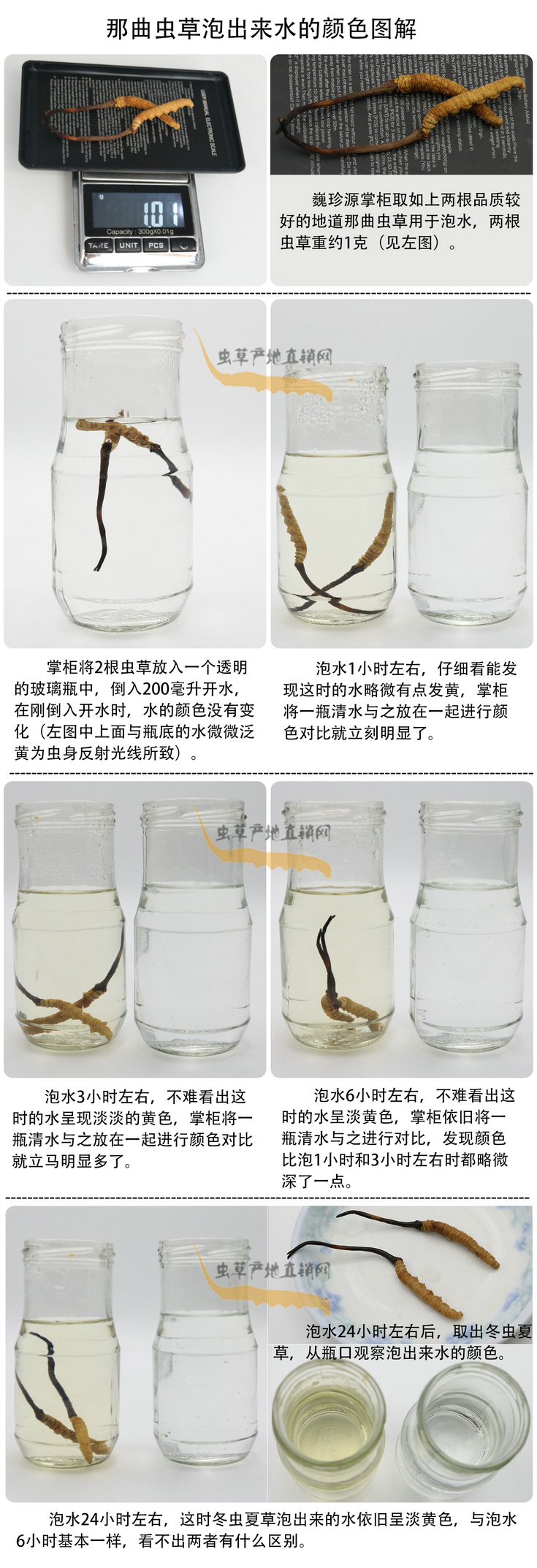 冬蟲(chóng)夏草泡出來(lái)水的顏色,冬蟲(chóng)夏草泡出來(lái)的水是什么顏色,冬蟲(chóng)夏草泡水后顏色有變化嗎,那曲蟲(chóng)草泡過(guò)水后水變成什么顏色